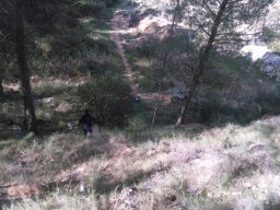IMG-20141116-WA0004